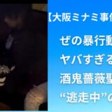 ぜの暴行動画がヤバすぎる！酒鬼薔薇聖斗“逃走中”の真相と6人の現在を徹底解説【大阪ミナミ事件まとめ】