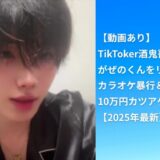 【動画あり】TikToker酒鬼薔薇聖斗がぜのくんをリンチ？カラオケ暴行＆10万円カツアゲ炎上まとめ【2025年最新】